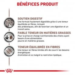 ROYAL CANIN Dog Gastro Intestinal Low Fat Boîte 11 ROYAL CANIN Dog Gastro Intestinal Low Fat Boîte -Magasins Sélectionnés De Fournitures Pour Animaux Et Chiens royal canin veterinary diet dog gastro intestinal low fat boite 2