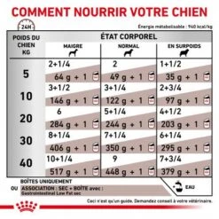 ROYAL CANIN Dog Gastro Intestinal Low Fat Boîte 12 ROYAL CANIN Dog Gastro Intestinal Low Fat Boîte -Magasins Sélectionnés De Fournitures Pour Animaux Et Chiens royal canin veterinary diet dog gastro intestinal low fat boite 3