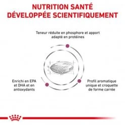 ROYAL CANIN Veterinary Health Nutrition Dog Renal -Magasins Sélectionnés De Fournitures Pour Animaux Et Chiens royal canin veterinary diet dog renal 2