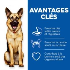 Vet Essentials Canine Adult Healthy Digestive Biome Large -Magasins Sélectionnés De Fournitures Pour Animaux Et Chiens vet essentials canine adult healthy digestive biome large 3