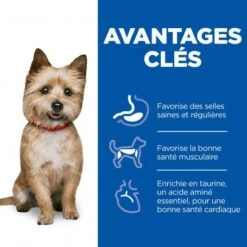 Vet Essentials Canine Adult Healthy Digestive Biome Small&Mini -Magasins Sélectionnés De Fournitures Pour Animaux Et Chiens vet essentials canine adult healthy digestive biome smallmi 3