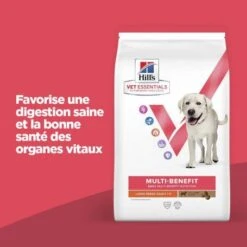 Vet Essentials Chien Multi-Benefit Adult + Large Breed Agneau & Riz 12 Vet Essentials Chien Multi-Benefit Adult + Large Breed Agneau & Riz -Magasins Sélectionnés De Fournitures Pour Animaux Et Chiens vet essentials chien multi benefit adult 1 l breed agnri 1