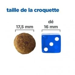 Vet Essentials Chien Multi-Benefit Adult + Large Breed Agneau & Riz 15 Vet Essentials Chien Multi-Benefit Adult + Large Breed Agneau & Riz -Magasins Sélectionnés De Fournitures Pour Animaux Et Chiens vet essentials chien multi benefit adult 1 l breed agnri 4