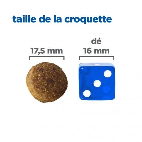 Vet Essentials Chien Multi-Benefit Adult + Large Breed Agneau & Riz 8 Vet Essentials Chien Multi-Benefit Adult + Large Breed Agneau & Riz – Image 6