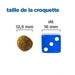 Vet Essentials Chien Multi-Benefit Adult + Medium Agneau & Riz -Magasins Sélectionnés De Fournitures Pour Animaux Et Chiens vet essentials chien multi benefit adult 1 medium agnriz 4