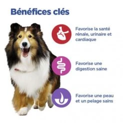 Vet Essentials Chien Multi-Benefit Adult + Medium Non Grain Thon -Magasins Sélectionnés De Fournitures Pour Animaux Et Chiens vet essentials chien multi benefit adult 1 medium non grain thon 2