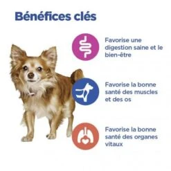 Vet Essentials Chien Multi-Benefit Adult + Small & Mini Agneau & Riz -Magasins Sélectionnés De Fournitures Pour Animaux Et Chiens vet essentials chien multi benefit adult 1 smallmini ar 2
