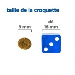 Vet Essentials Chien Multi-Benefit Adult + Small & Mini Agneau & Riz -Magasins Sélectionnés De Fournitures Pour Animaux Et Chiens vet essentials chien multi benefit adult 1 smallmini ar 4