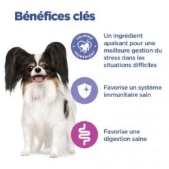 Vet Essentials Chien Multi-Benefit + Calm Adult 1+ Small & Mini -Magasins Sélectionnés De Fournitures Pour Animaux Et Chiens vet essentials chien multi benefit calm adult 1 smm po 3