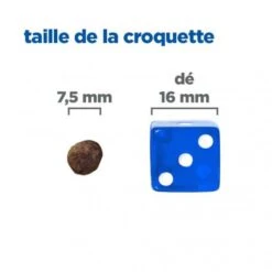 Vet Essentials Chien Multi-Benefit + Calm Adult 1+ Small & Mini -Magasins Sélectionnés De Fournitures Pour Animaux Et Chiens vet essentials chien multi benefit calm adult 1 smm po 4