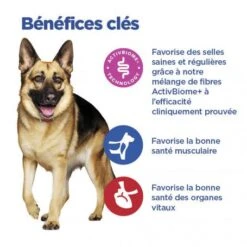 Vet Essentials Chien Multi-Benefit + Digestion Adulte+ Large Breed -Magasins Sélectionnés De Fournitures Pour Animaux Et Chiens vet essentials chien multi benefit digestion ad1 lar br sac de 14 kg 5