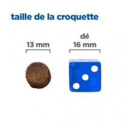 Vet Essentials Chien Multi-Benefit Puppy Large Breed Poulet -Magasins Sélectionnés De Fournitures Pour Animaux Et Chiens vet essentials chien multi benefit puppy large breed poulet 2