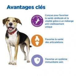 Vet Essentials Chien Multi-Benefit + Senior Health M&L Poul. 10 Vet Essentials Chien Multi-Benefit + Senior Health M&L Poul. -Magasins Sélectionnés De Fournitures Pour Animaux Et Chiens vet essentials chien multi benefit senior health ml poul 2