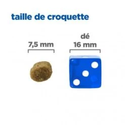 Vet Essentials Chien Multi-Benefit + Senior Health S&M Poul. 11 Vet Essentials Chien Multi-Benefit + Senior Health S&M Poul. -Magasins Sélectionnés De Fournitures Pour Animaux Et Chiens vet essentials chien multi benefit senior health sm poul 3