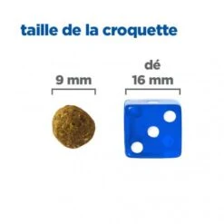 Vet Essentials Chien Multi-Benefit + Weight Adult 1+ Small & Mini Poulet -Magasins Sélectionnés De Fournitures Pour Animaux Et Chiens vet essentials chien multi benefit wei adult 1 smm po 4