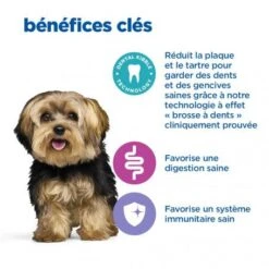 Vet Essentials Chien Multi-Benefit+Dental Adult 1+ Small & Mini 14 Vet Essentials Chien Multi-Benefit+Dental Adult 1+ Small & Mini -Magasins Sélectionnés De Fournitures Pour Animaux Et Chiens vet essentials chien multi benefitdental adult 1 sm mp 4