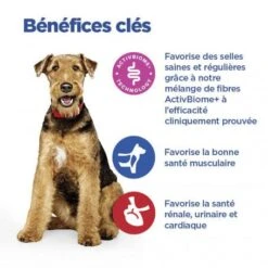 Vet Essentials Chien Multi-Benefit+Digestion Adult + Medium Au Poulet 12 Vet Essentials Chien Multi-Benefit+Digestion Adult + Medium Au Poulet -Magasins Sélectionnés De Fournitures Pour Animaux Et Chiens vet essentials chien multi benefitdigestion adult 1 med p 2