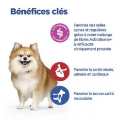 Vet Essentials Chien Multi-Benefit+Digestion Adult + Small & Mini Poulet -Magasins Sélectionnés De Fournitures Pour Animaux Et Chiens vet essentials chien multi benefitdigestion adult 1 sm p 2
