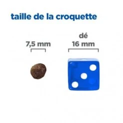 Vet Essentials Chien Multi-Benefit+Digestion Adult + Small & Mini Poulet -Magasins Sélectionnés De Fournitures Pour Animaux Et Chiens vet essentials chien multi benefitdigestion adult 1 sm p 3