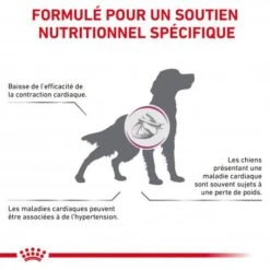 ROYAL CANIN Veterinary Health Nutrition Dog Cardiac -Magasins Sélectionnés De Fournitures Pour Animaux Et Chiens veterinary diet dog cardiac 1