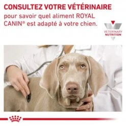 ROYAL CANIN Veterinary Health Nutrition Dog Cardiac -Magasins Sélectionnés De Fournitures Pour Animaux Et Chiens veterinary diet dog cardiac 7