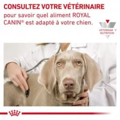 ROYAL CANIN Veterinary Health Nutrition Dog Cardiac Boîte -Magasins Sélectionnés De Fournitures Pour Animaux Et Chiens veterinary diet dog cardiac boite 5