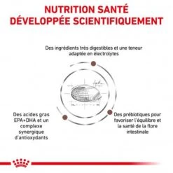 ROYAL CANIN Dog Gastro Intestinal High Fibre 12 ROYAL CANIN Dog Gastro Intestinal High Fibre -Magasins Sélectionnés De Fournitures Pour Animaux Et Chiens veterinary diet dog fibre response 2