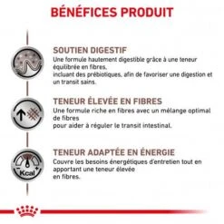 ROYAL CANIN Dog Gastro Intestinal High Fibre 13 ROYAL CANIN Dog Gastro Intestinal High Fibre -Magasins Sélectionnés De Fournitures Pour Animaux Et Chiens veterinary diet dog fibre response 3