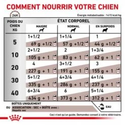 ROYAL CANIN Dog Hepatic Boîte 12 ROYAL CANIN Dog Hepatic Boîte -Magasins Sélectionnés De Fournitures Pour Animaux Et Chiens veterinary diet dog hepatic boite 3