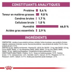 ROYAL CANIN Veterinary Health Nutrition Dog Renal Boîte 12 ROYAL CANIN Veterinary Health Nutrition Dog Renal Boîte -Magasins Sélectionnés De Fournitures Pour Animaux Et Chiens veterinary diet dog renal boite 3