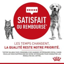 ROYAL CANIN Veterinary Health Nutrition Dog Renal Boîte 15 ROYAL CANIN Veterinary Health Nutrition Dog Renal Boîte -Magasins Sélectionnés De Fournitures Pour Animaux Et Chiens veterinary diet dog renal boite 6