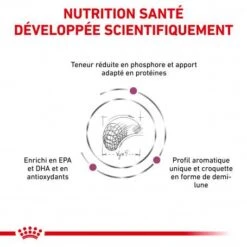 ROYAL CANIN Veterinary Diet Dog Renal Select -Magasins Sélectionnés De Fournitures Pour Animaux Et Chiens veterinary diet dog renal select 2