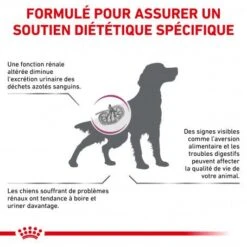 ROYAL CANIN Veterinary Health Nutrition Dog Renal Special -Magasins Sélectionnés De Fournitures Pour Animaux Et Chiens veterinary diet dog renal special 1