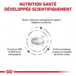 ROYAL CANIN Veterinary Health Nutrition Dog Renal Special -Magasins Sélectionnés De Fournitures Pour Animaux Et Chiens veterinary diet dog renal special 2