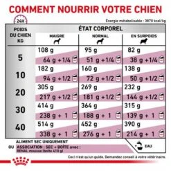 ROYAL CANIN Veterinary Health Nutrition Dog Renal Special -Magasins Sélectionnés De Fournitures Pour Animaux Et Chiens veterinary diet dog renal special 4