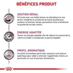 ROYAL CANIN Veterinary Health Nutrition Dog Renal Special Boîte 11 ROYAL CANIN Veterinary Health Nutrition Dog Renal Special Boîte -Magasins Sélectionnés De Fournitures Pour Animaux Et Chiens veterinary diet dog renal special boite 2