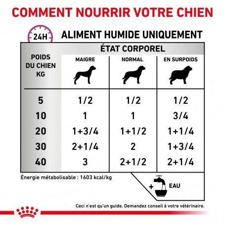 ROYAL CANIN Veterinary Health Nutrition Dog Renal Special Boîte 6 ROYAL CANIN Veterinary Health Nutrition Dog Renal Special Boîte – Image 4