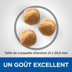 Vet Essentials Canine Adult Dental Health Large Breed Poulet -Magasins Sélectionnés De Fournitures Pour Animaux Et Chiens vetessentials canine adult large breed 2