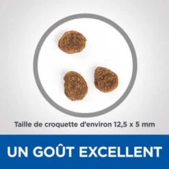 Vet Essentials Canine Adult Medium No Grain Thon & Pommes De Terre 8 Vet Essentials Canine Adult Medium No Grain Thon & Pommes De Terre -Magasins Sélectionnés De Fournitures Pour Animaux Et Chiens vetessentials canine adult medium no grain thon pommes de terre 2